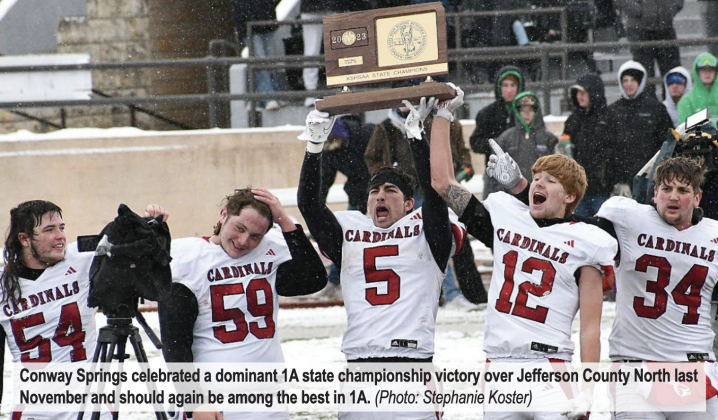 Article Image Alt Text