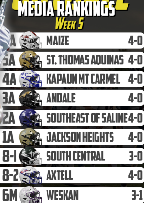 Article Image Alt Text