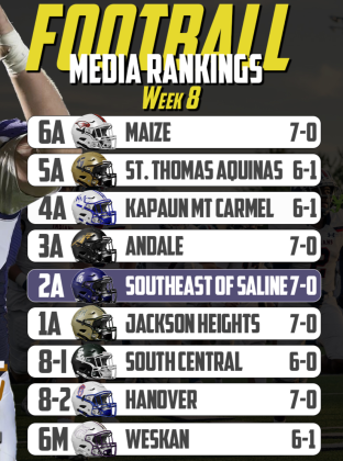 Article Image Alt Text