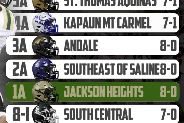 Article Image Alt Text