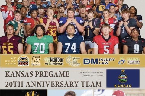 Article Image Alt Text