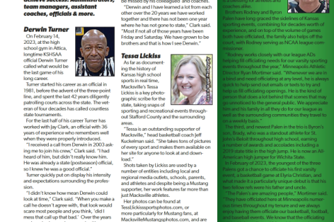 Article Image Alt Text