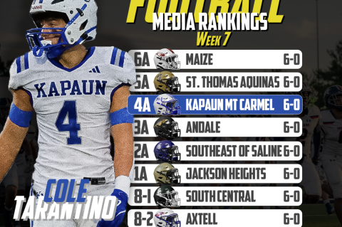 Article Image Alt Text