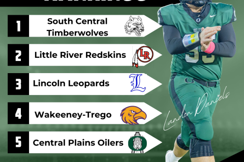 Article Image Alt Text